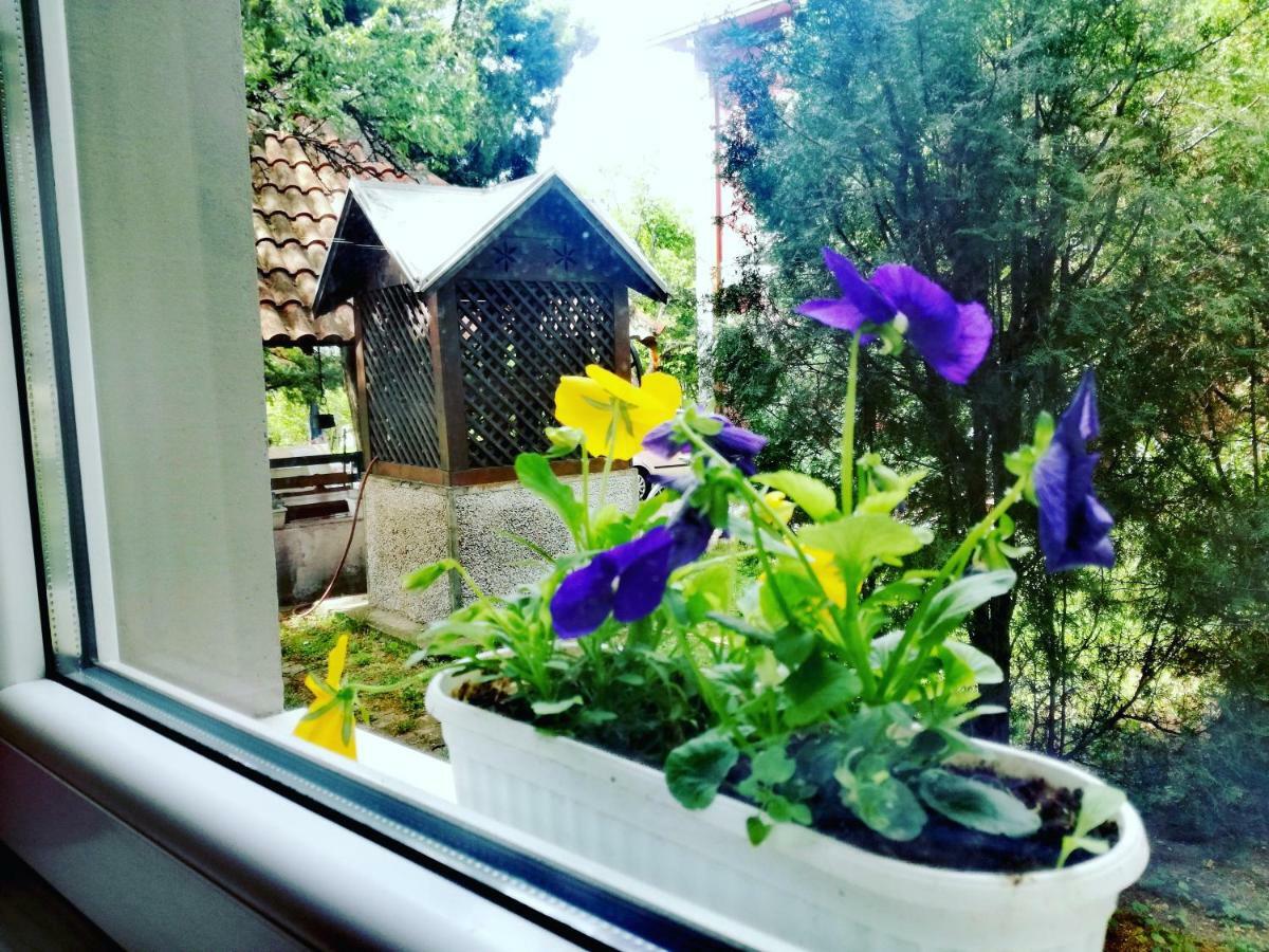 Maslina Rooms สเมเดเรโว ภายนอก รูปภาพ